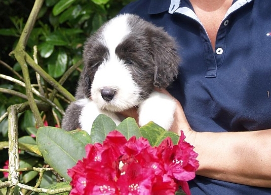 Lilli 7 Dienstag 052.jpg